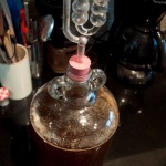 Yeast added and bung & airlock fitted