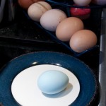Egg of brightest blue