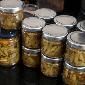Filled jars of pickled ash keys