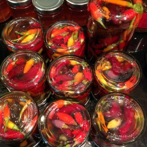 Filled jars of pickled chillies