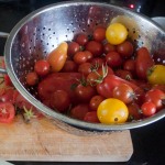 Wash & trim tomatoes