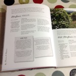 Forager's Kitchen - page 