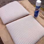 Treat seat pads with stain-repellant spray